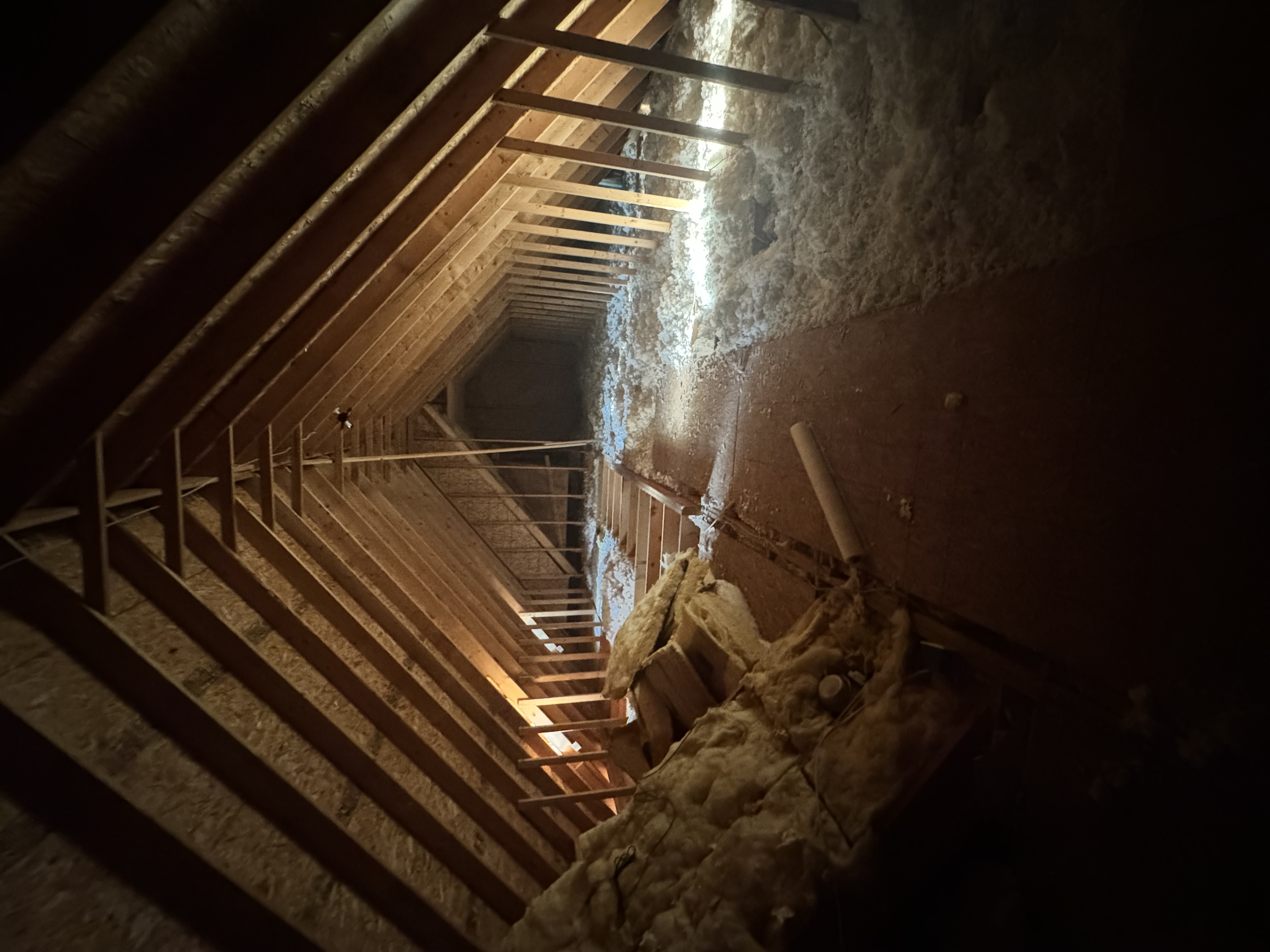 Unfinished attic before renovation — exposed framing and insulation